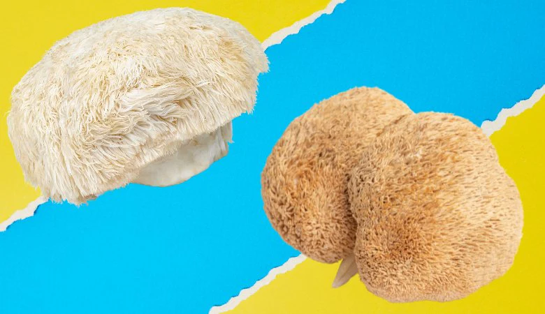 How Long Does Lion’s Mane Take to Work for ADHD?