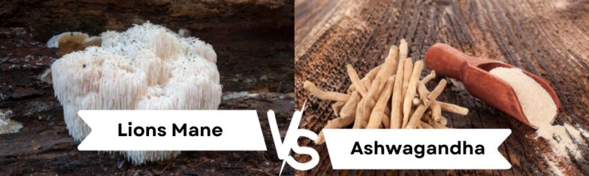 Lion’s Mane and Ashwagandha: